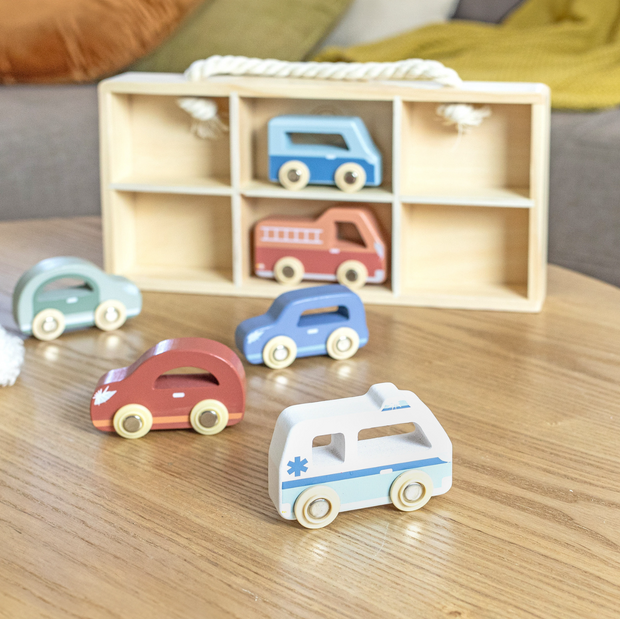 6 Car Display Case