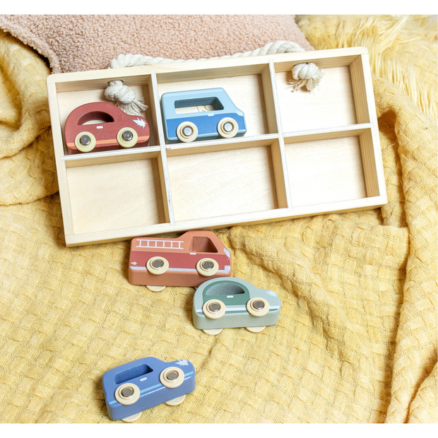 6 Car Display Case