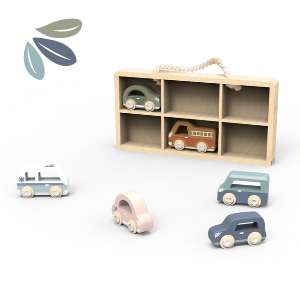 6 Car Display Case