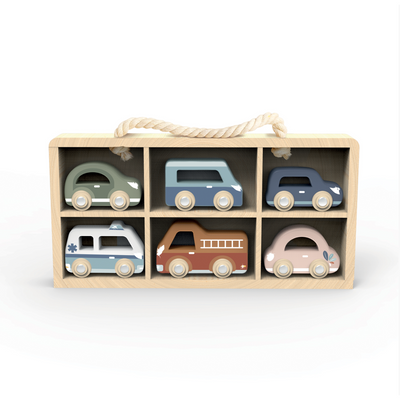 6 Car Display Case