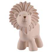 Zoo Animals Teether Rattle & Bath Toy VARIOUS STYLES