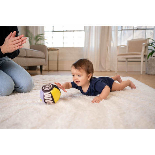 Wimmer Sensory Ball