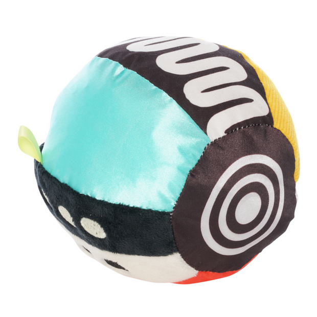 Wimmer Sensory Ball