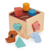 Bambino Shape Sorting Cube