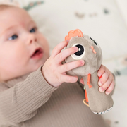 Tiny Farm Sensory Rattle