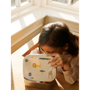 Arthur Steel Lunchbox VARIOUS COLOURS PRE ORDER