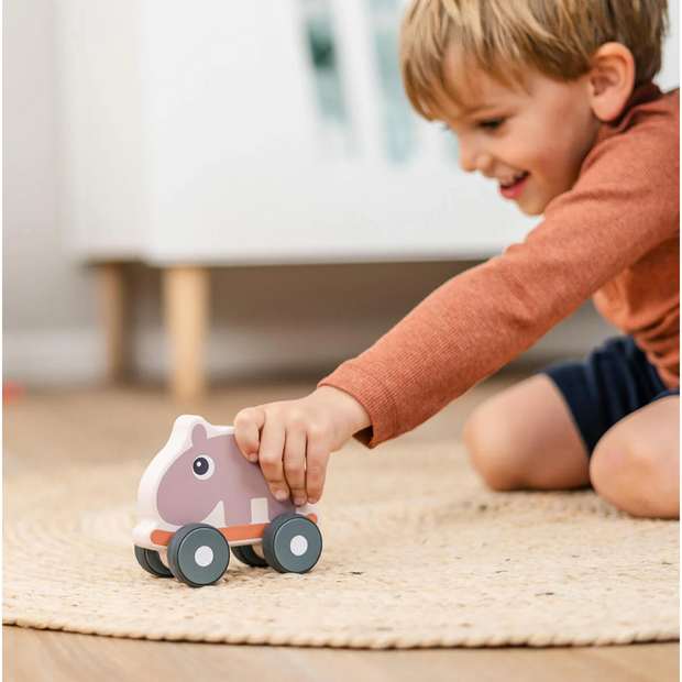 Ozzo Push Toy