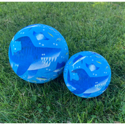 Playground Ball VARIOUS STYLES