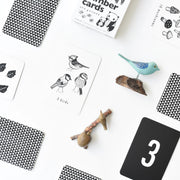 Nature Numbers Cards