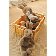 Kelly Kangaroo Mommy & Me Teddy - Dune PRE ORDER