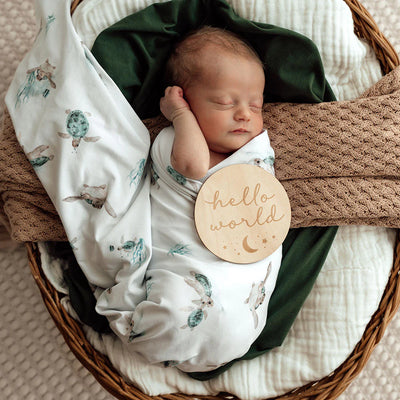 Organic Jersey Wrap & Beanie Set - Turtle