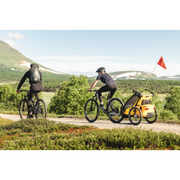 Thule Chariot Sport - 2 Seat Multisport Bike Trailer