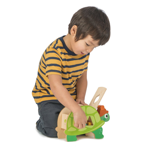 Wooden Tortoise Shape Sorter with Shapes