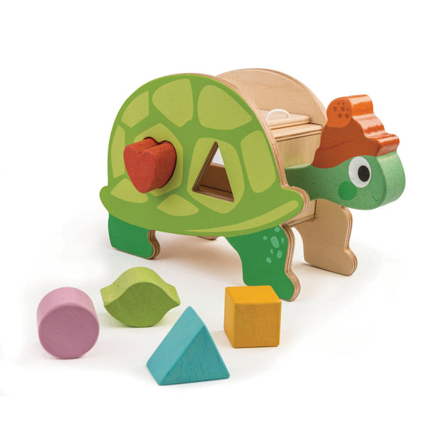 Wooden Tortoise Shape Sorter with Shapes